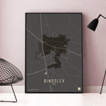 Bindslev