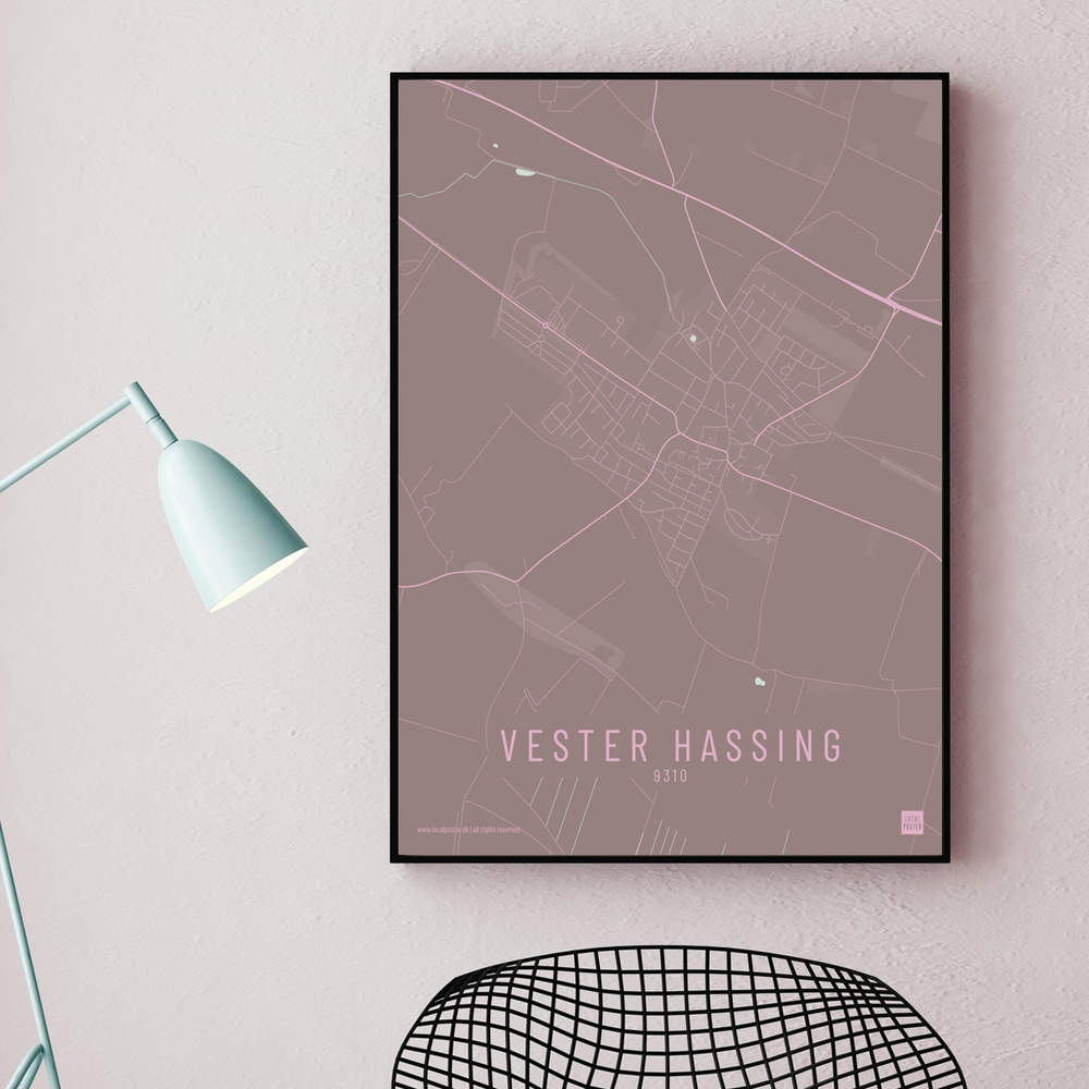 Vester Hassing